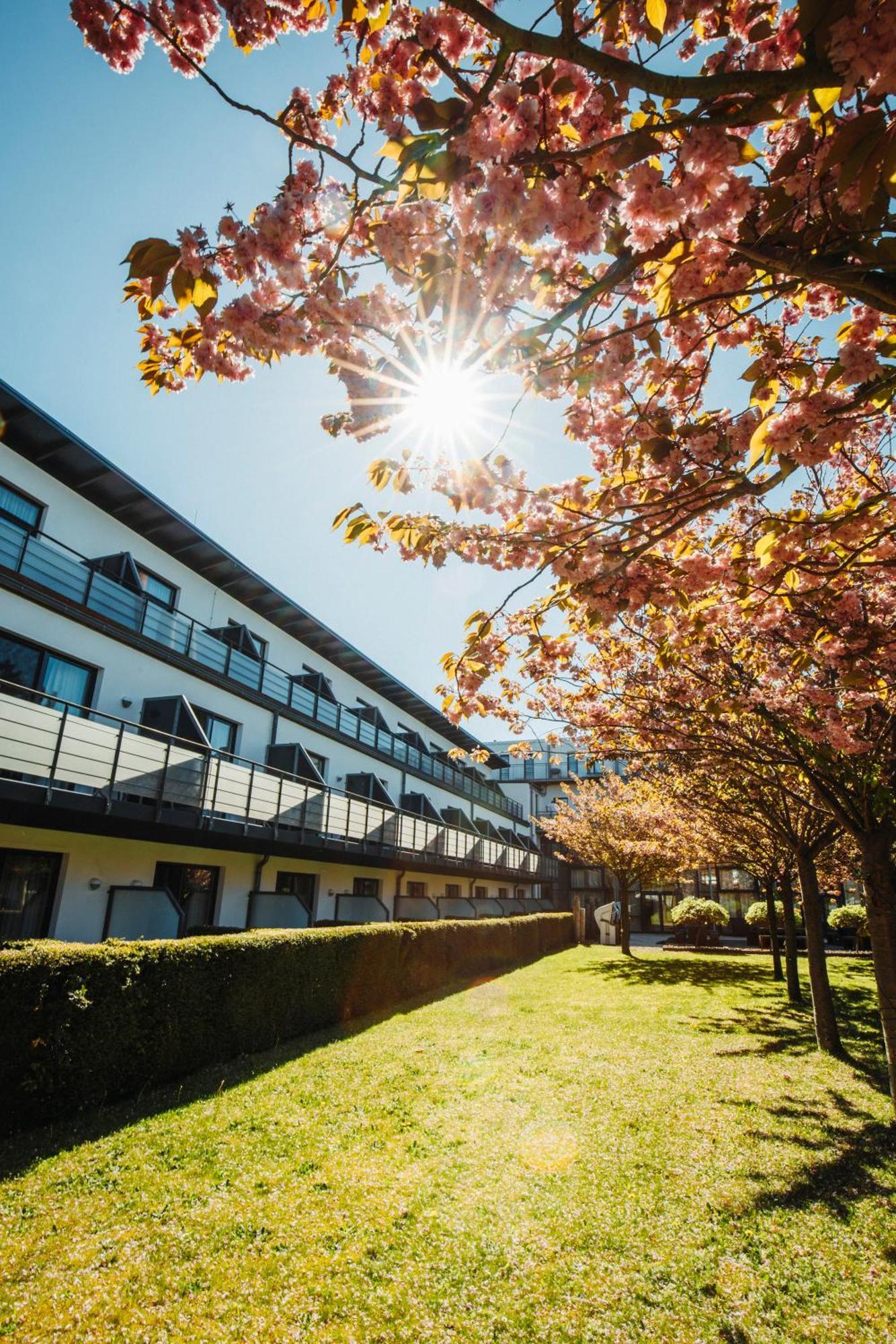 Resort Hotel IV Jahreszeiten Zingst Eksteriør bilde